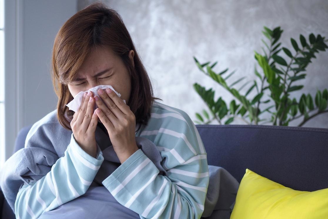 甲型H3N2亚型流感病毒仍占流行优势