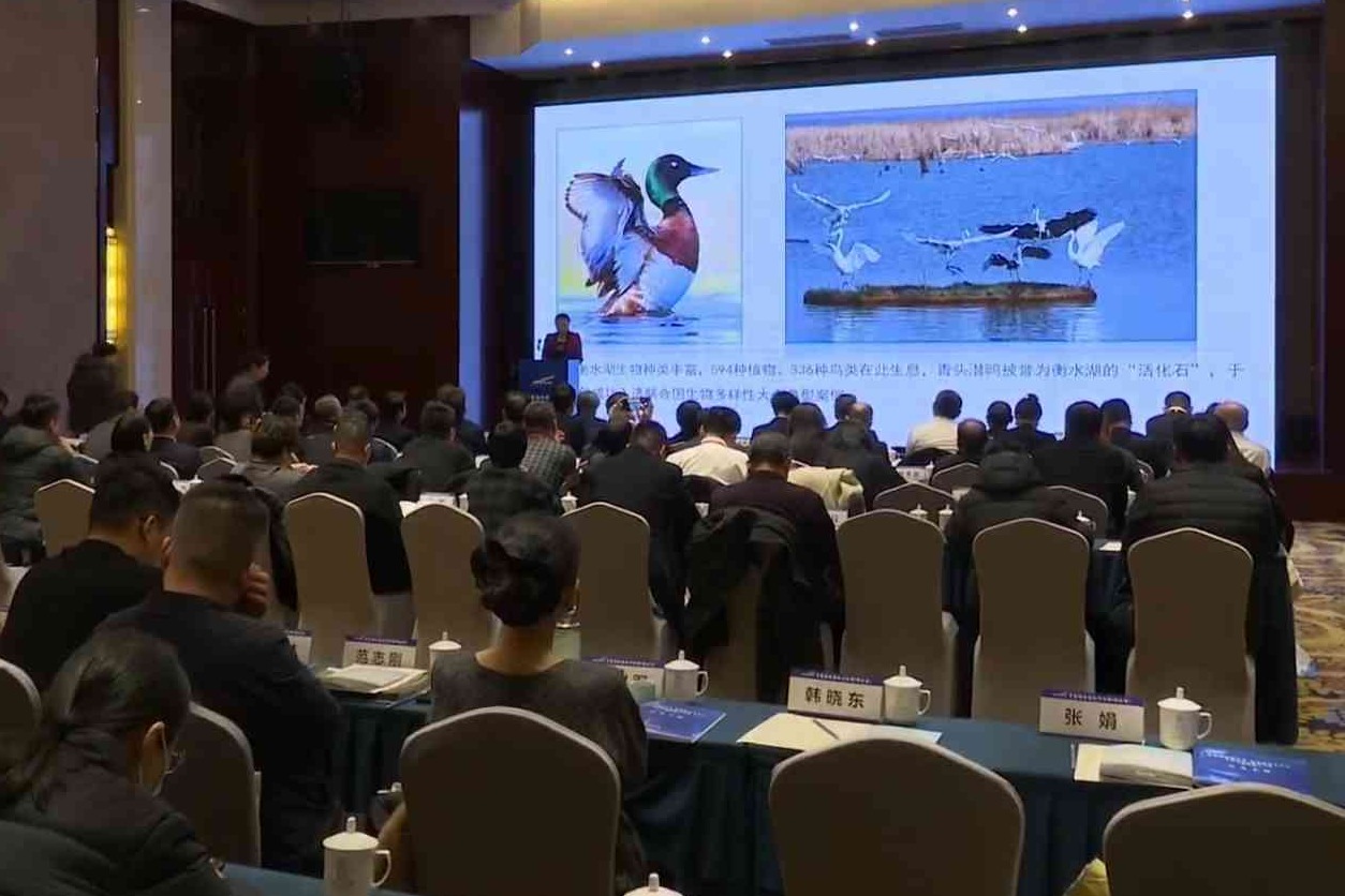 专家助企燕赵行活动（衡水站）举办