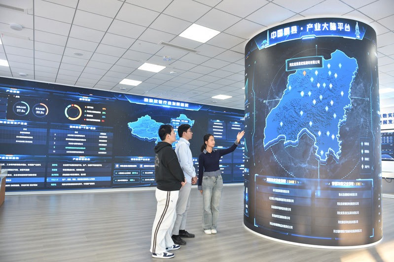 衡水市两个产业大脑入选河北省2025年度行业产业大脑建设“揭榜挂帅”单位