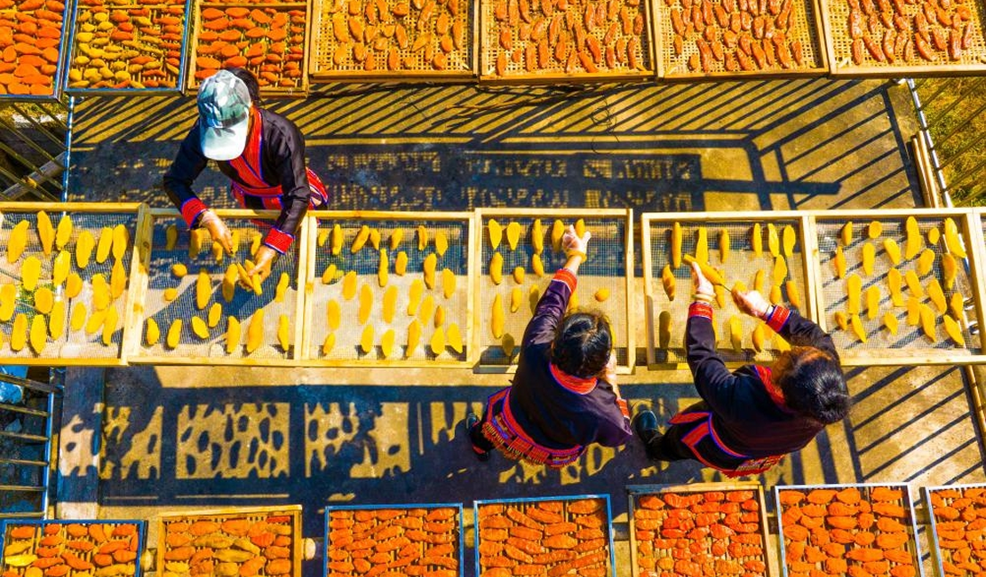 “三九”人间烟火气