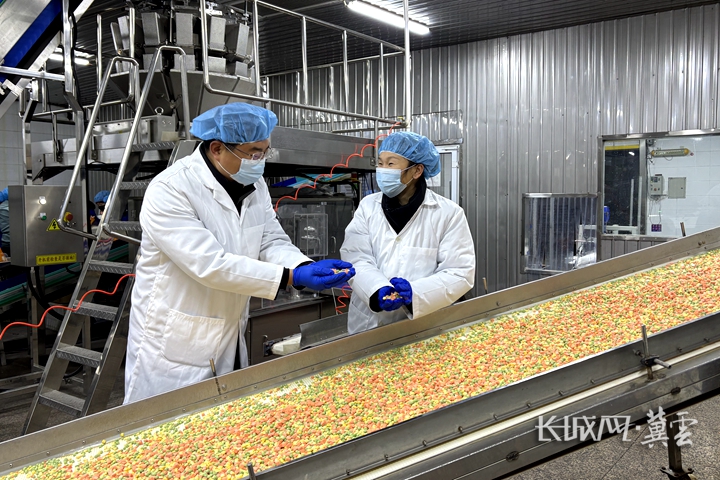 新春走基层·代表委员回岗位丨李瑶：让河北净菜全链条产业村内落地