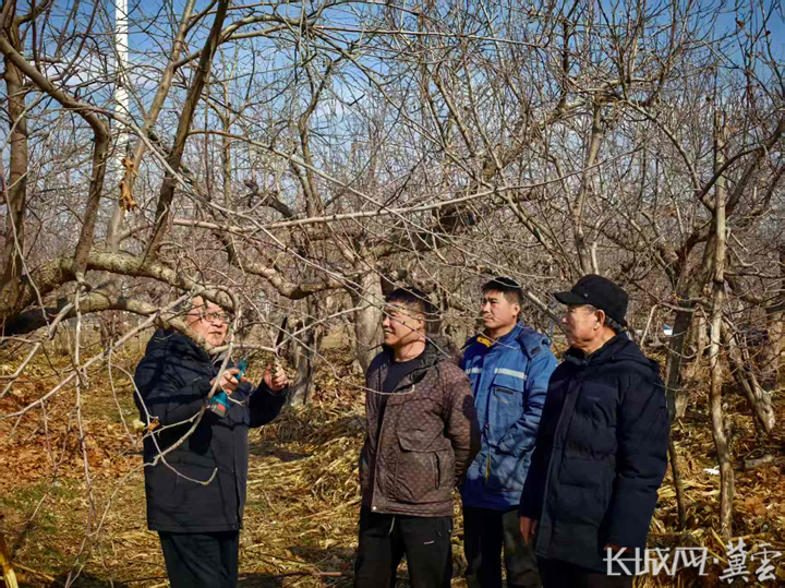 邢台任泽：农技专家田间“开方”护航果蔬越冬