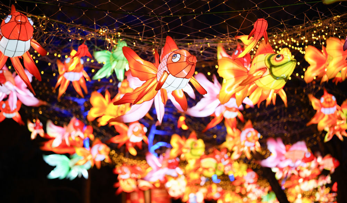 北京：2026圆明园新春灯会启幕