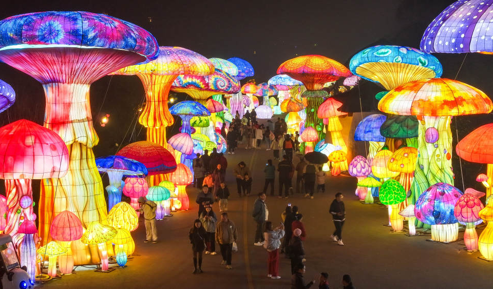 流光溢彩庆新春