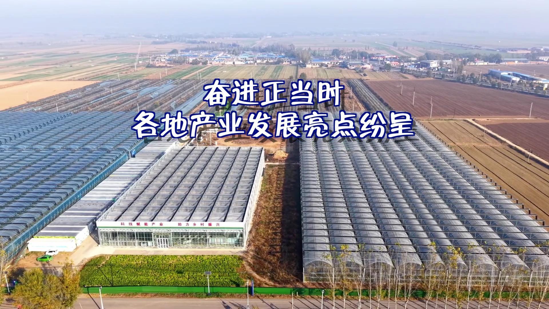 奋进正当时 各地产业发展亮点纷呈