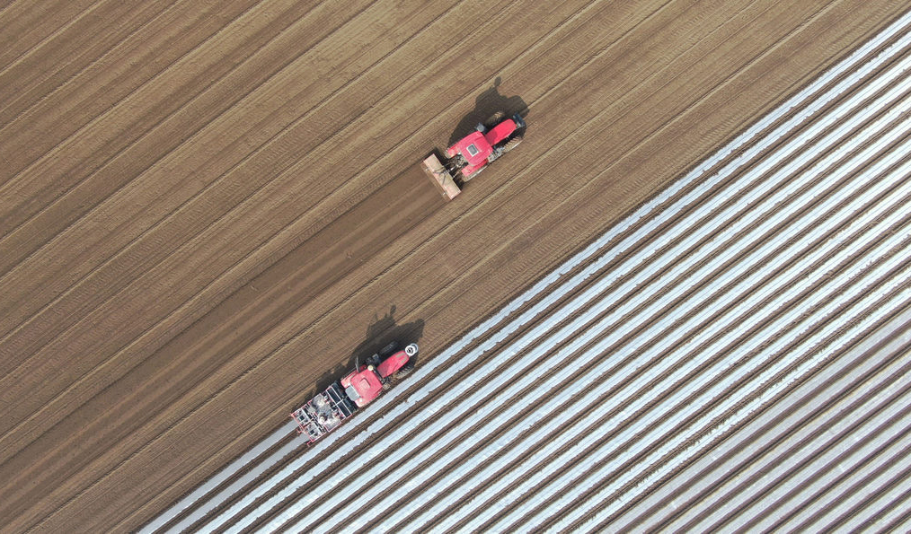 惊蛰时节农事忙