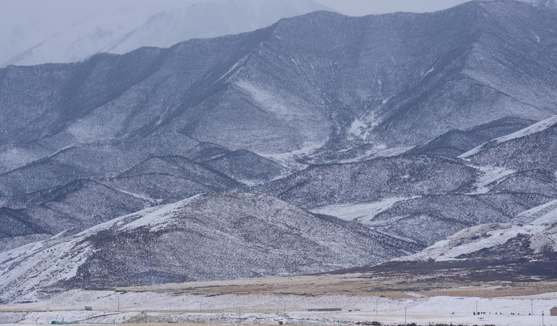 青海祁连： 春雪润高原
