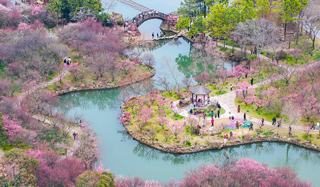 一册繁花 满目春色