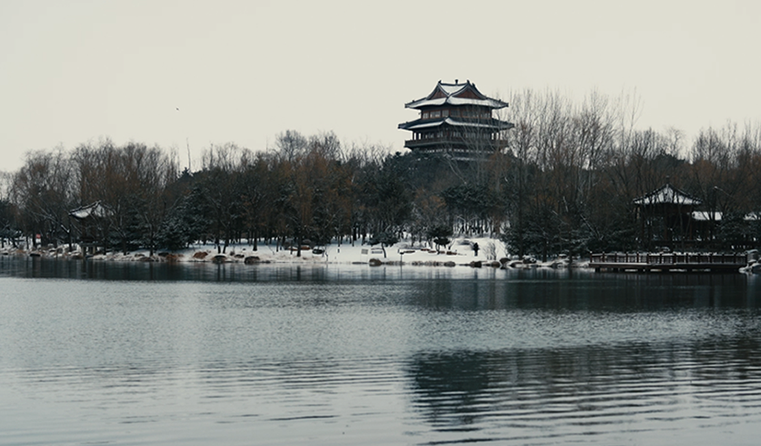 河北秦皇岛：琼枝映黛瓦 雪韵满戴河