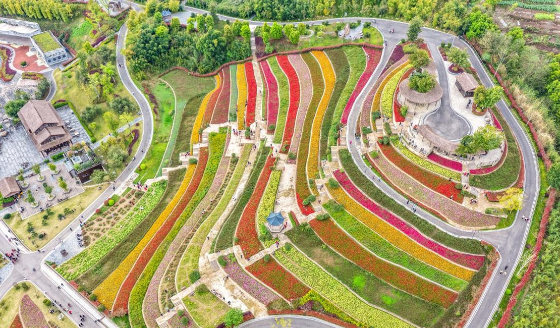 重庆璧山：绘就城市“春日画卷”