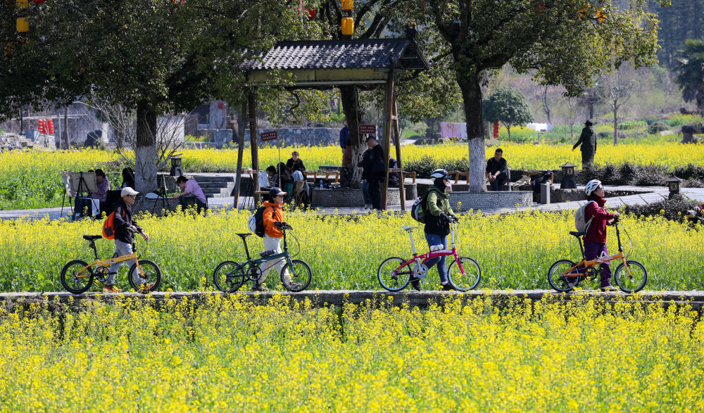 走进皖南 遇见春天