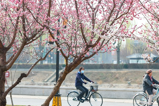 石家庄正定：春和景明游古城