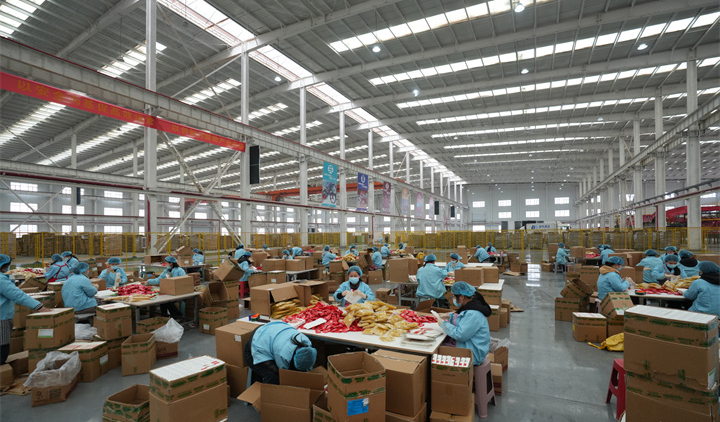 邯郸邱县：云端播“丰收” “一品一播”激活产业新活力