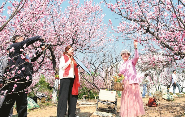 石家庄市植物园万株花木共绘春日美景