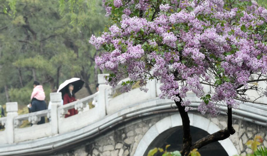 圆明园第三十一届踏青节开幕