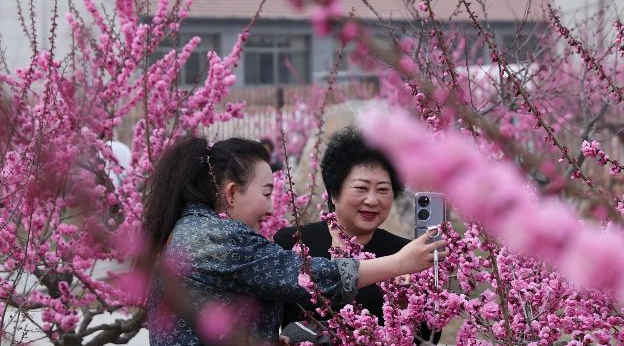 河北宽城：梅花盛开惹人醉 尽享春日好时光