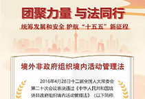 一图读懂《境外非政府组织境内活动管理法》｜国家安全教育主题普法④