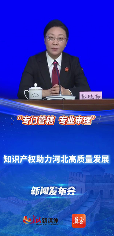 河北建强专业审判平台