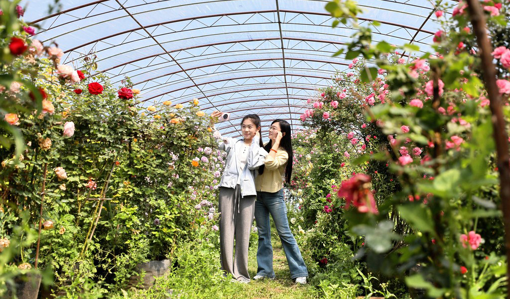 “美丽经济”绽芬芳