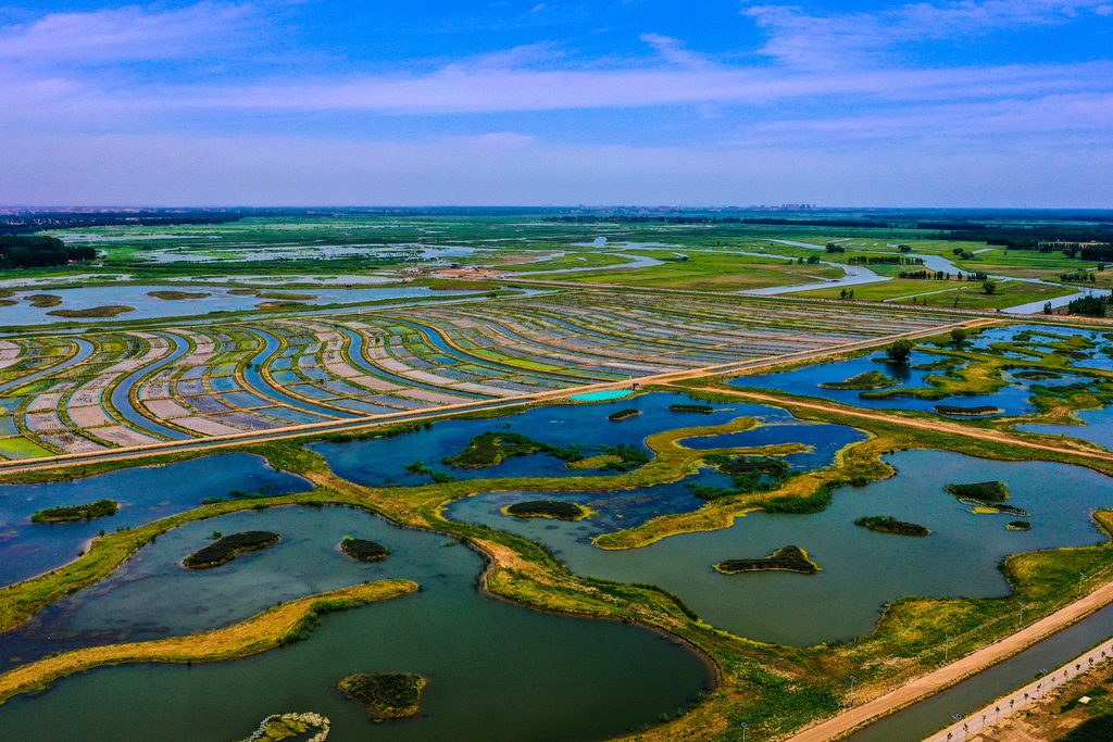 雄安新区府河河口湿地为京津冀唯一入选案例