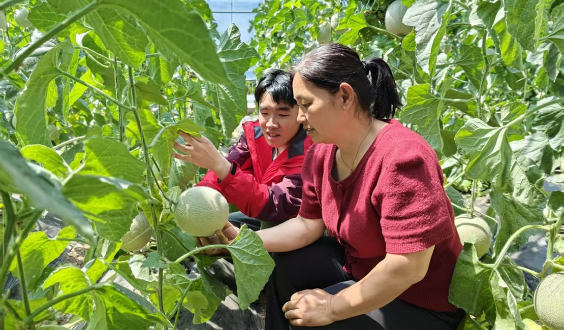科技小院助农增收