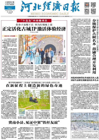 河北经济日报20260605