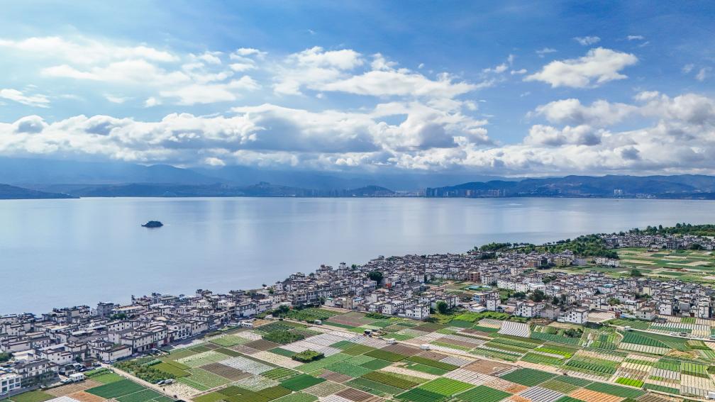 美丽中国行丨洱海畔绘就湖清岸绿新图景