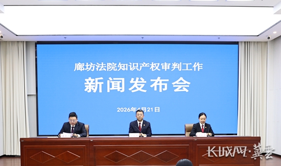 廊坊法院知识产权审判工作新闻发布会