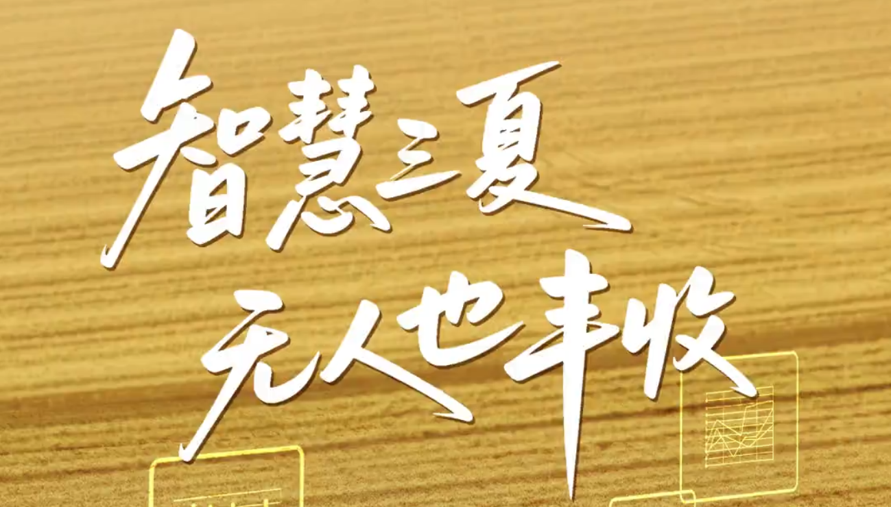 风吹麦浪一线行 | 衡水武邑：智慧三夏“无人”也丰收