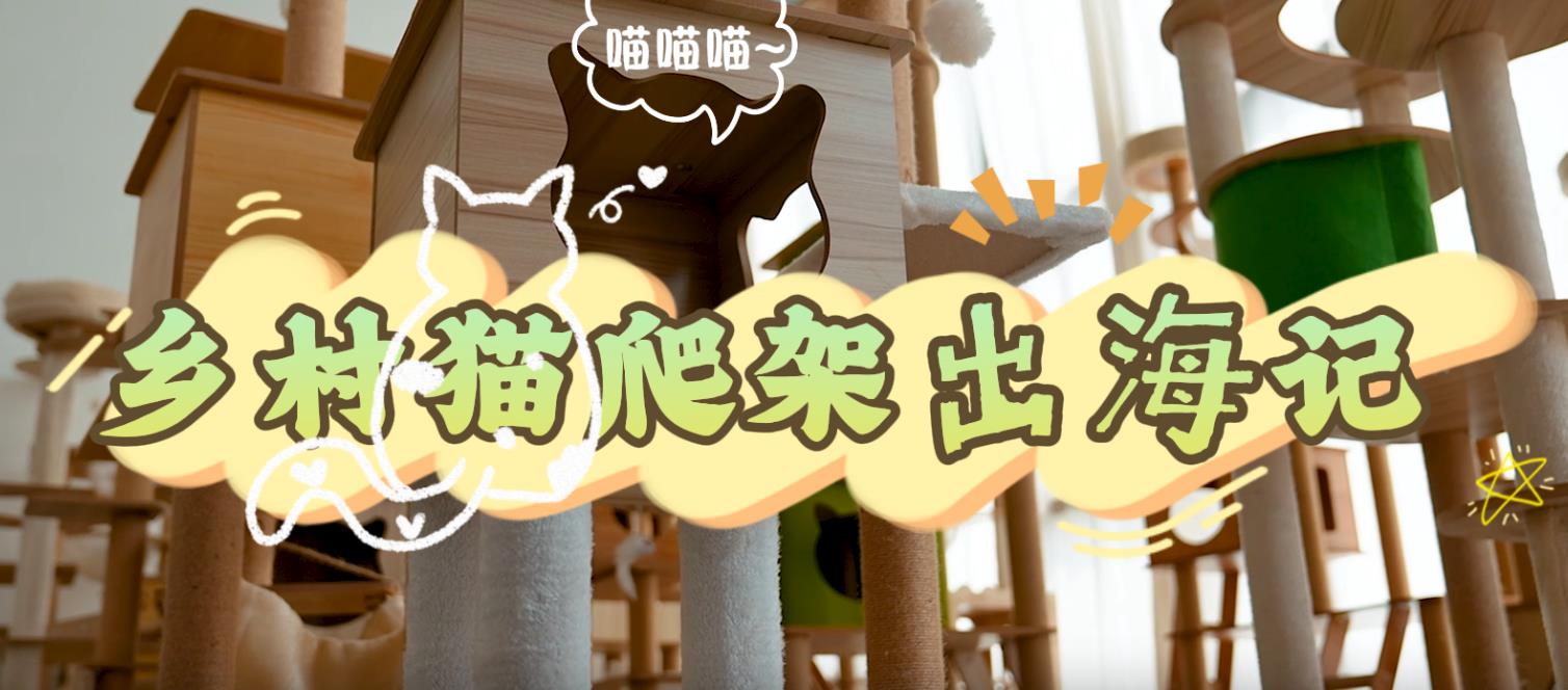 走在乡间小路上丨乡村猫爬架“出海”记