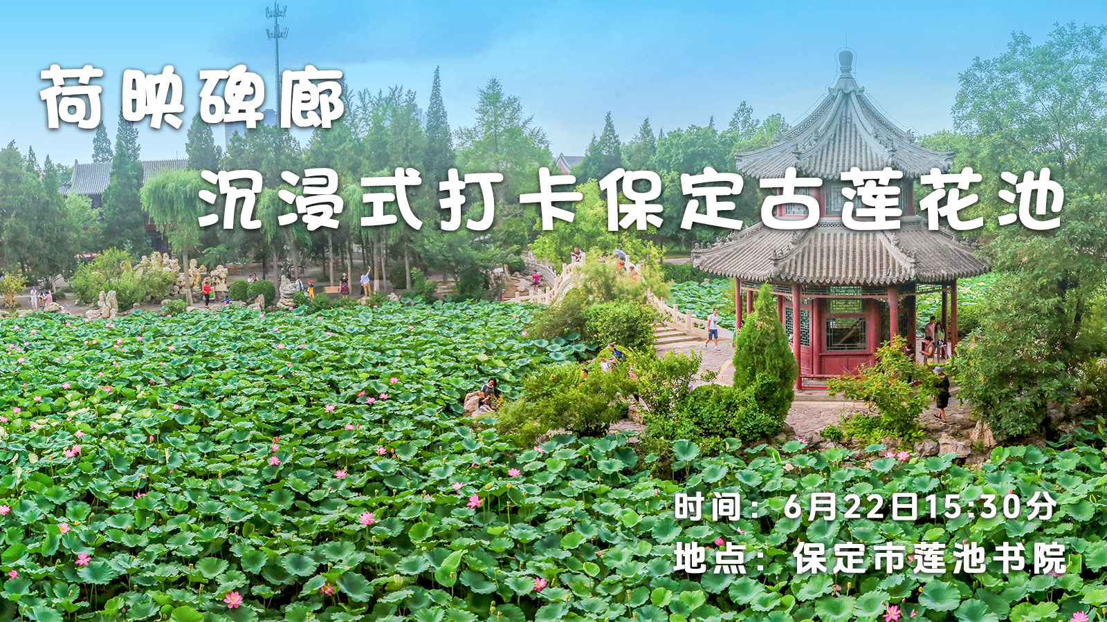 长城直播 | 荷映碑廊 沉浸式打卡保定古莲花池