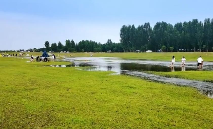 石家庄行唐：水清草美 郜河畔尽享露营慢时光
