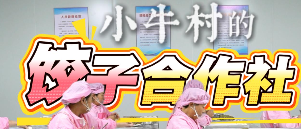 走在乡间小路上︱小牛村的“饺子合作社”