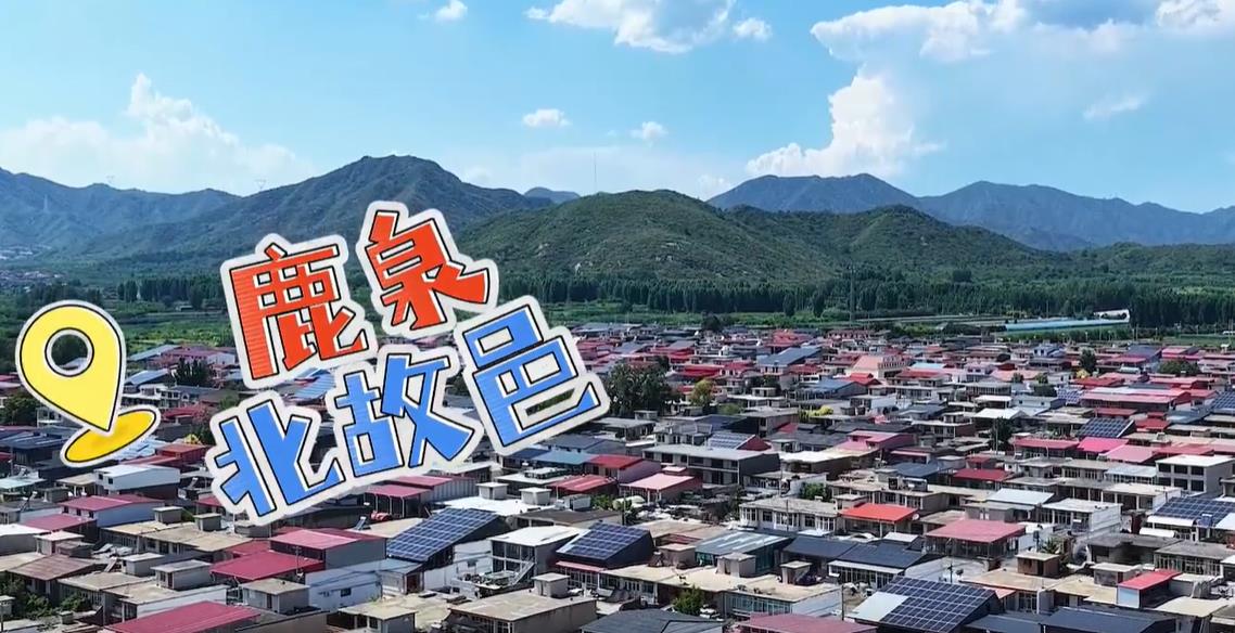 走在乡间小路上丨葡萄飘香人“萄”醉