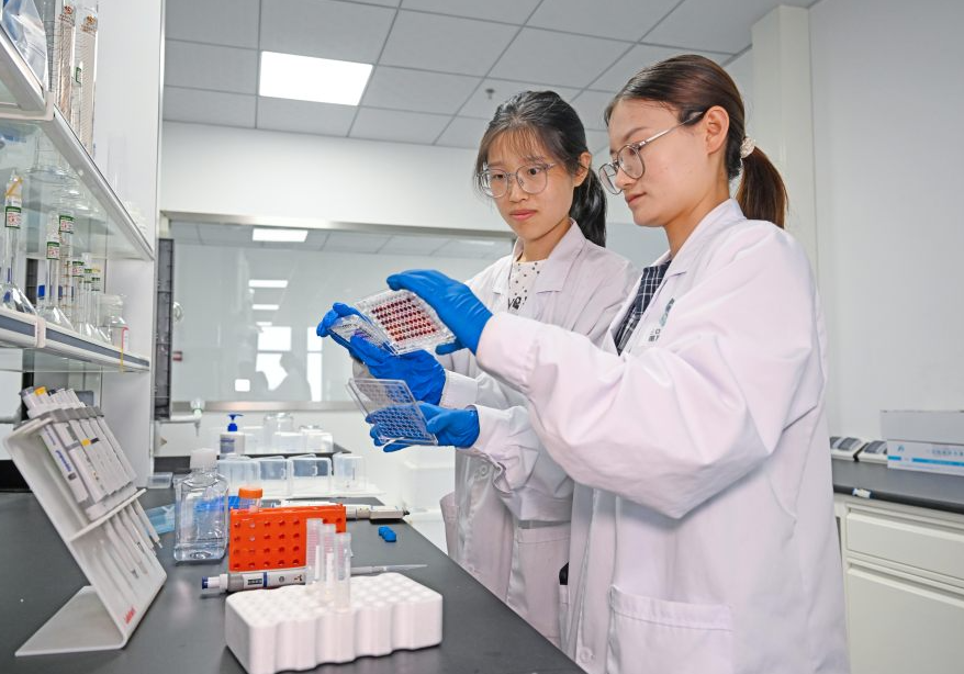 创新药研发跑出加速度