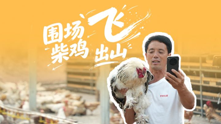 走乡村看振兴丨围场柴鸡“飞”出山