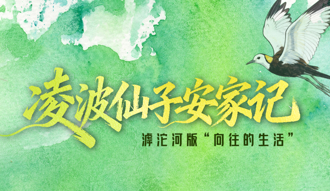 AI河北故事绘 | 滹沱河版“向往的生活”：“凌波仙子”安家记