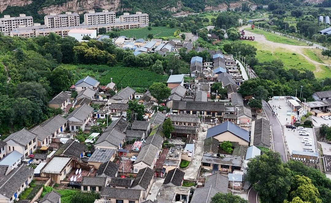沿着足迹看变化⑤丨探寻顾家台乡村蝶变的“金钥匙”