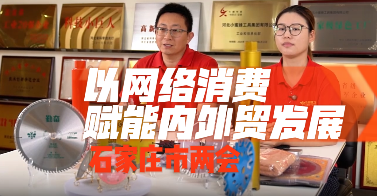 石家庄市两会丨以网络消费赋能内外贸发展