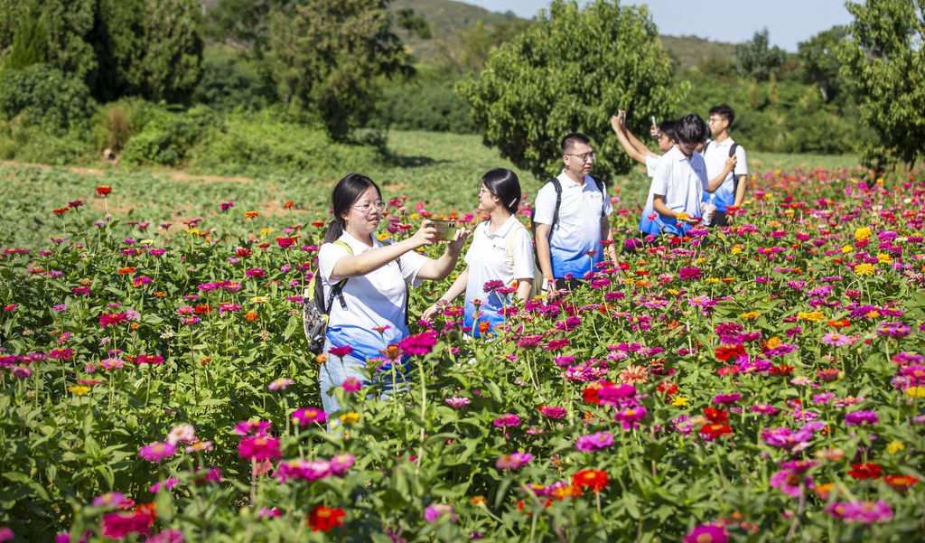 “卖煤村” 变身网红旅游村