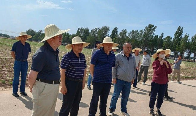 河北：立法助力“小种子”成长为“大种业”