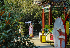 秋日打卡地上新！这波季节限定别错过