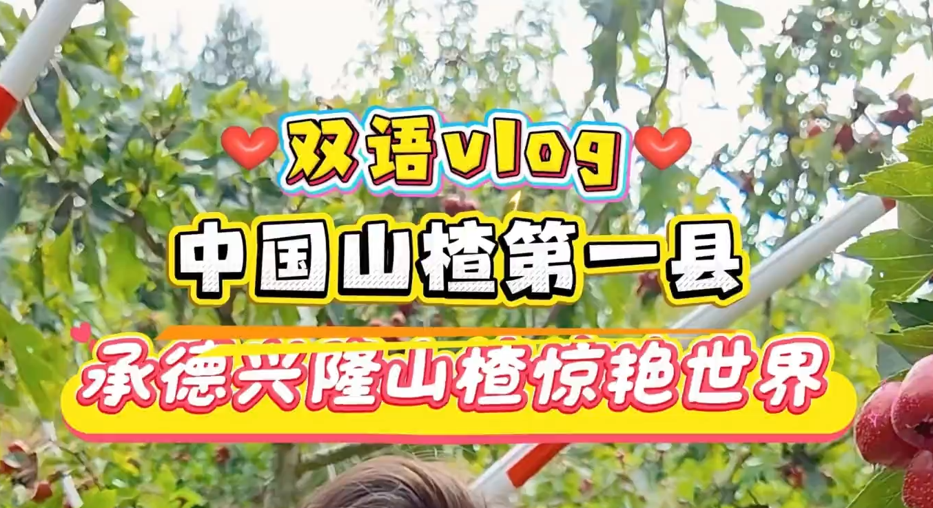 Bilingual vlog丨走！去河北兴隆摘山楂