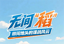 国安普法小剧场之无间“稻”