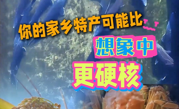 “十一”最头条｜你的家乡特产，可能比想象中更“硬核”
