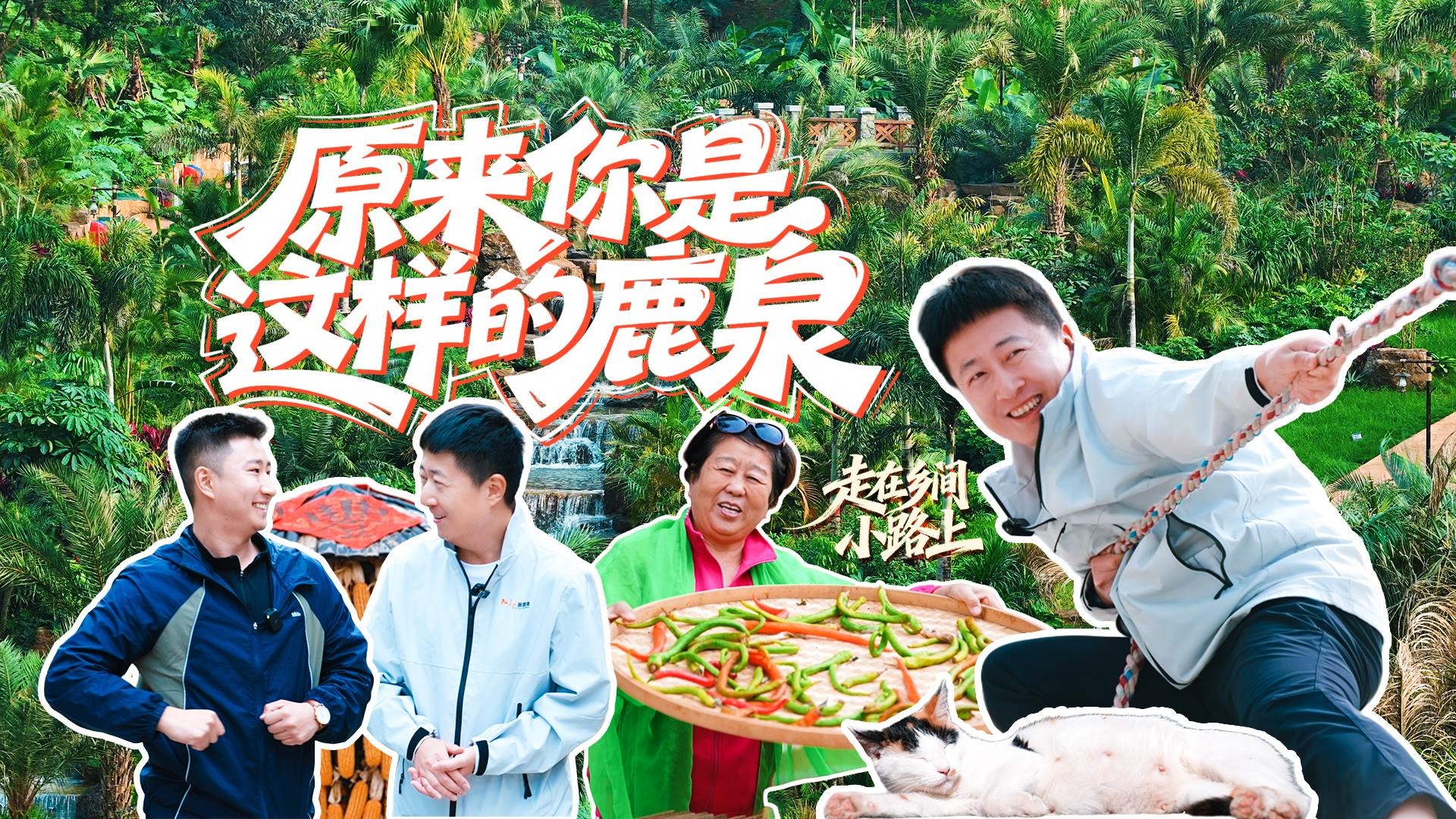 走在乡间小路上丨原来你是这样的鹿泉