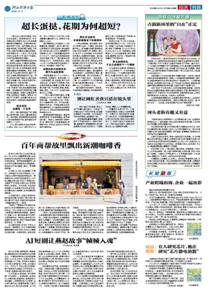 河北经济日报20261014
