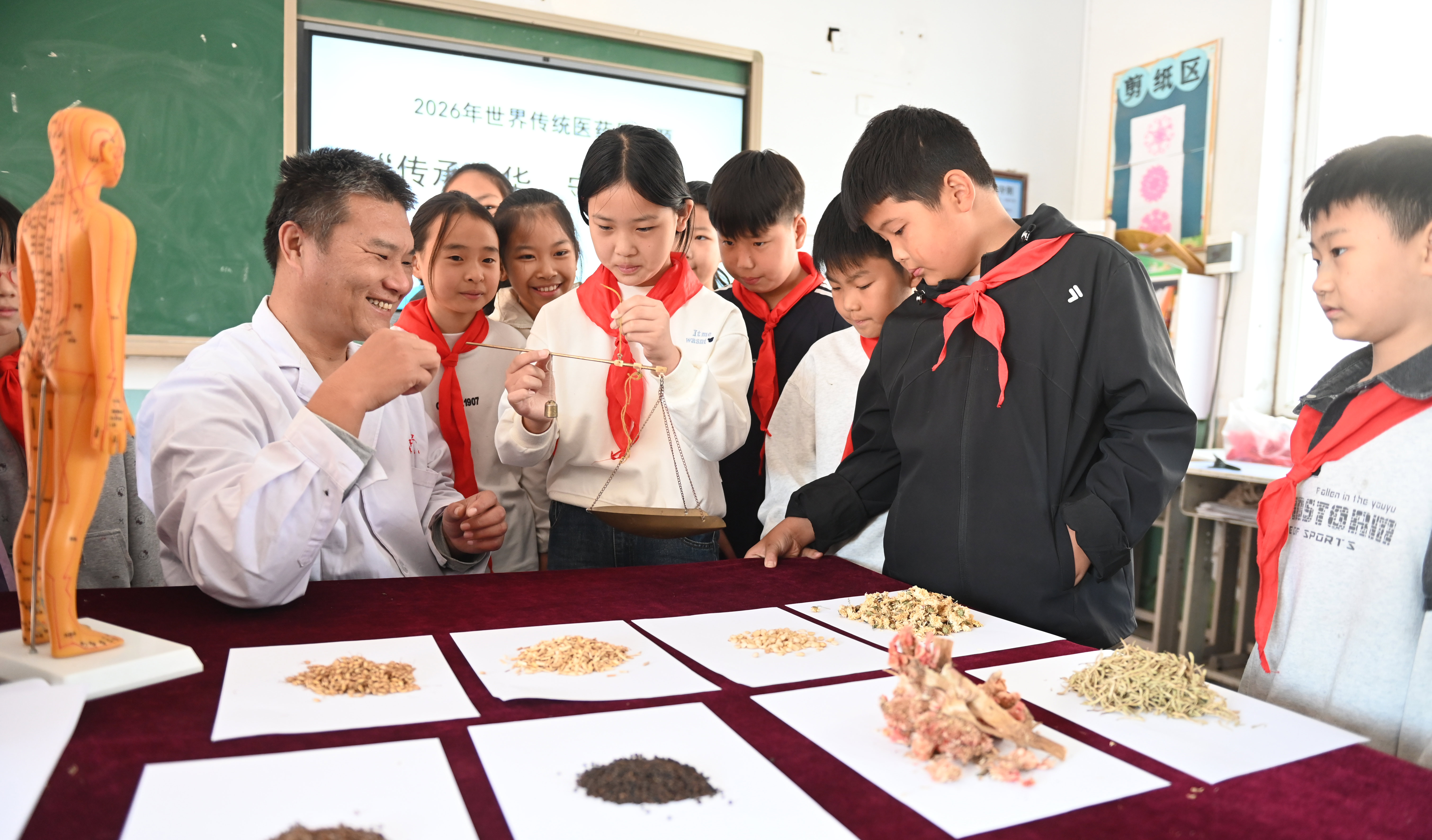 河北邯郸：了解中医药知识 感受中医药文化魅力