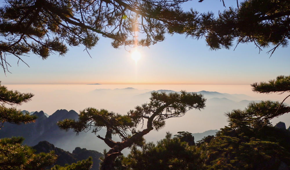 观山林层染：云海奔潮 万山红遍