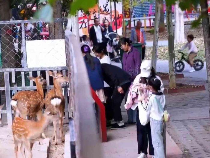 秋染园博园 湖光入画来——衡水市园博园迎来最美秋日
